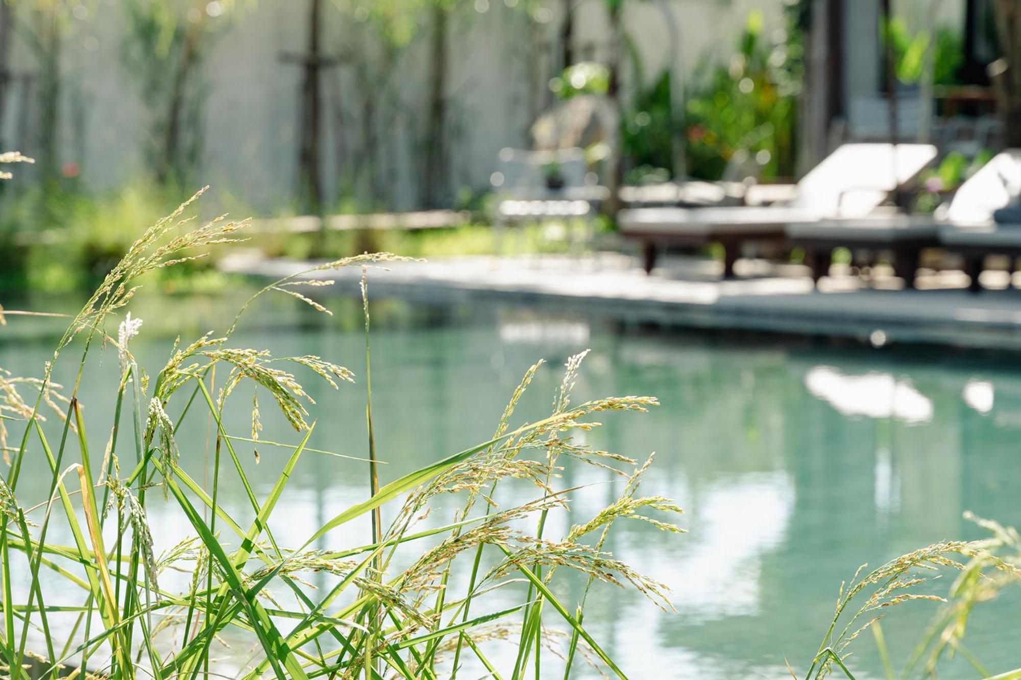 Le Chanthou Boutique Siem Reap Esterno foto