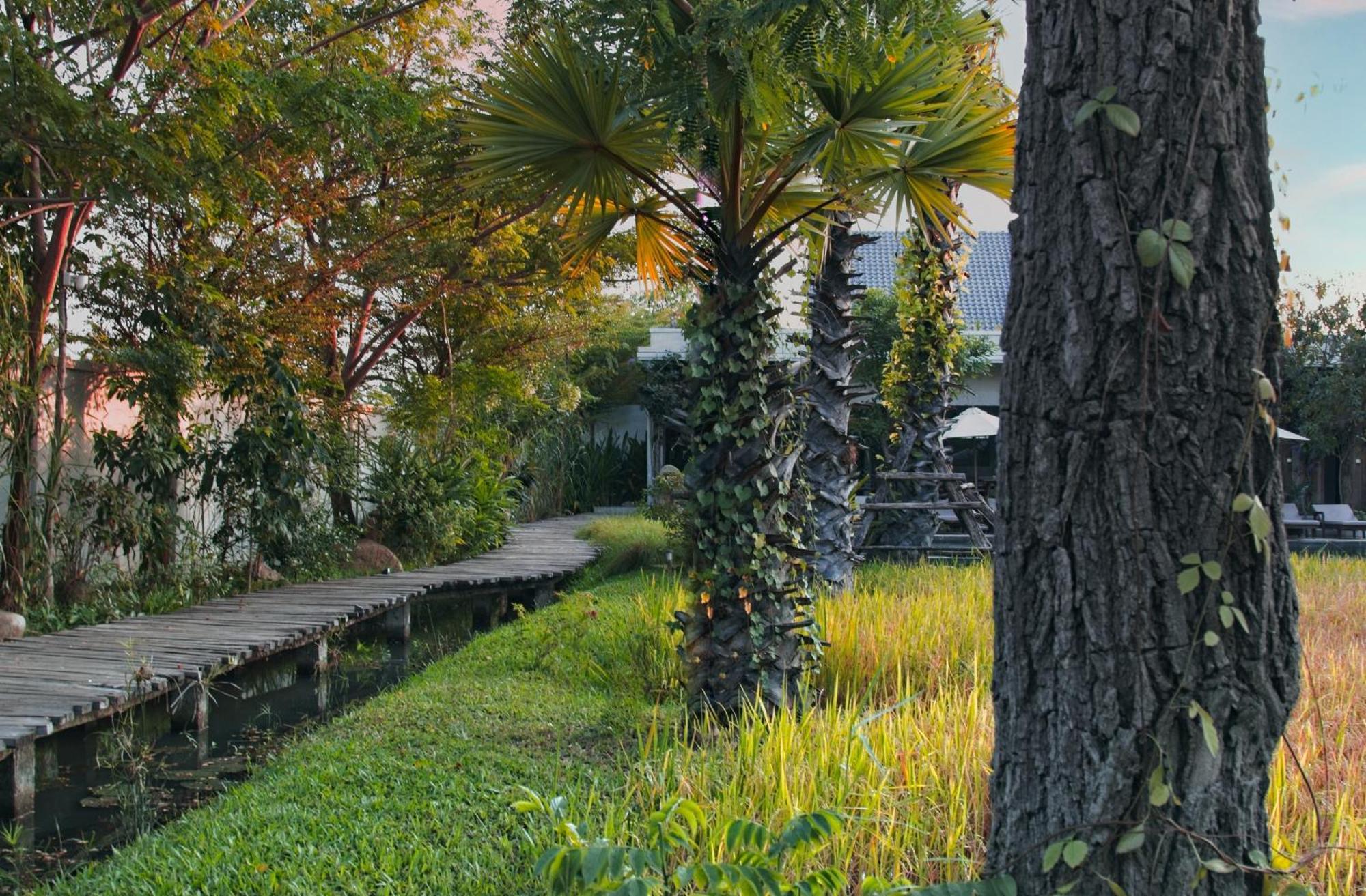 Le Chanthou Boutique Siem Reap Esterno foto
